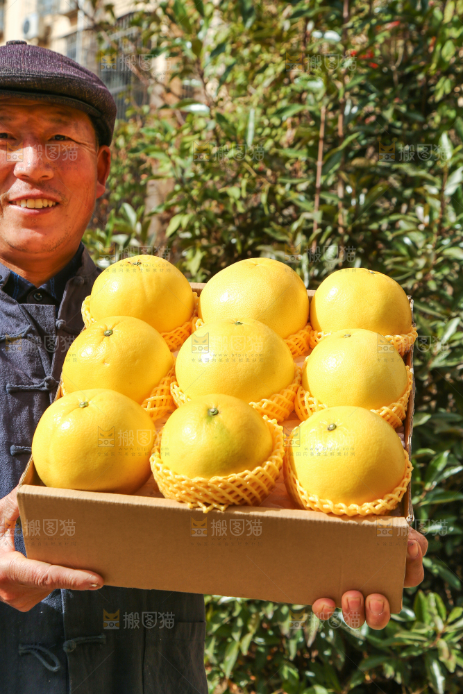 农民手里端着一箱黄金葡萄柚