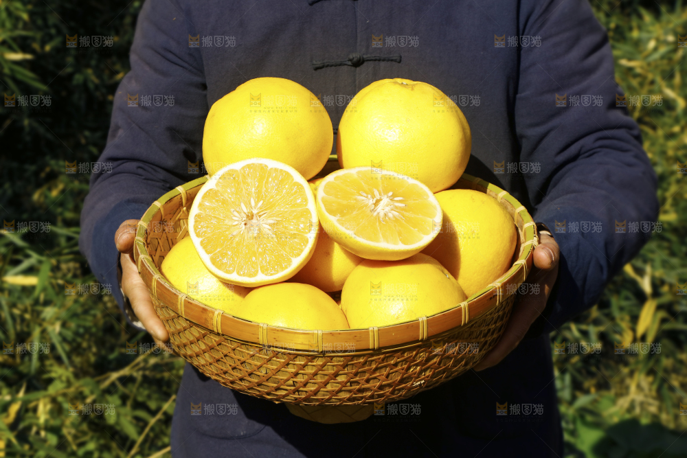 农民手里端着一篮黄金葡萄柚