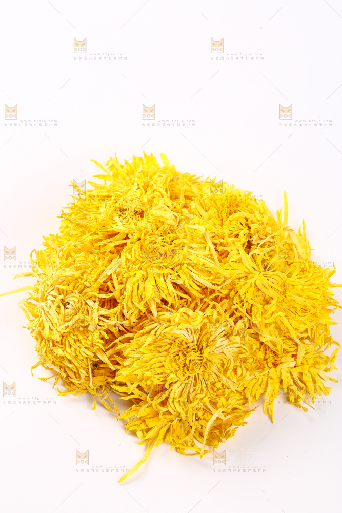 白底上放着一堆金丝皇菊