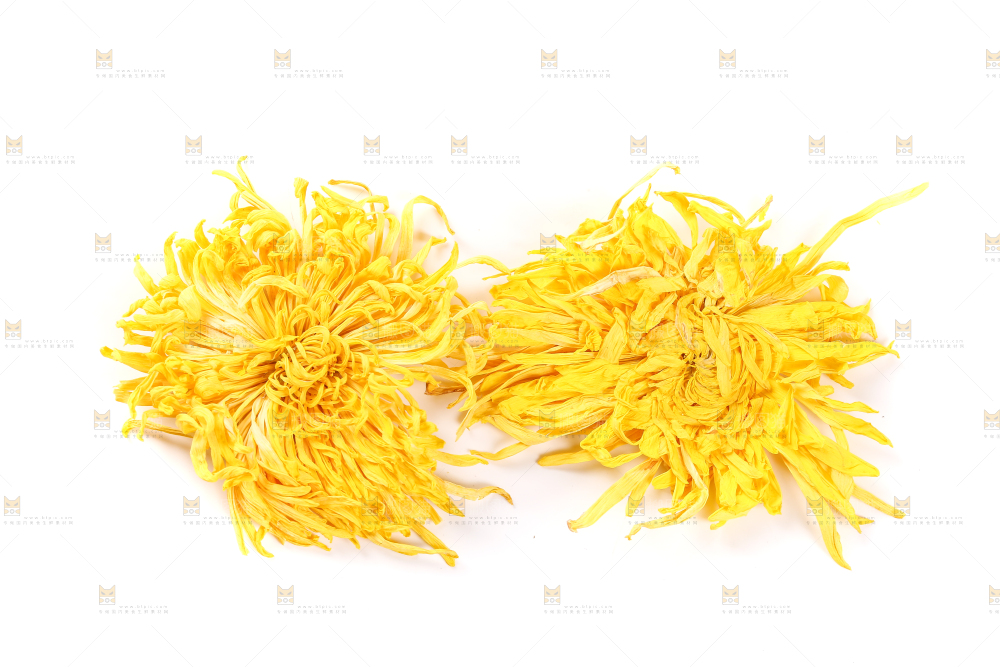白底上放着贡菊