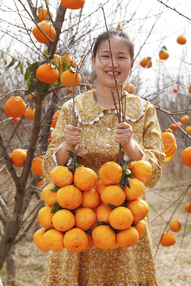果园女人手里拿着两串丑橘