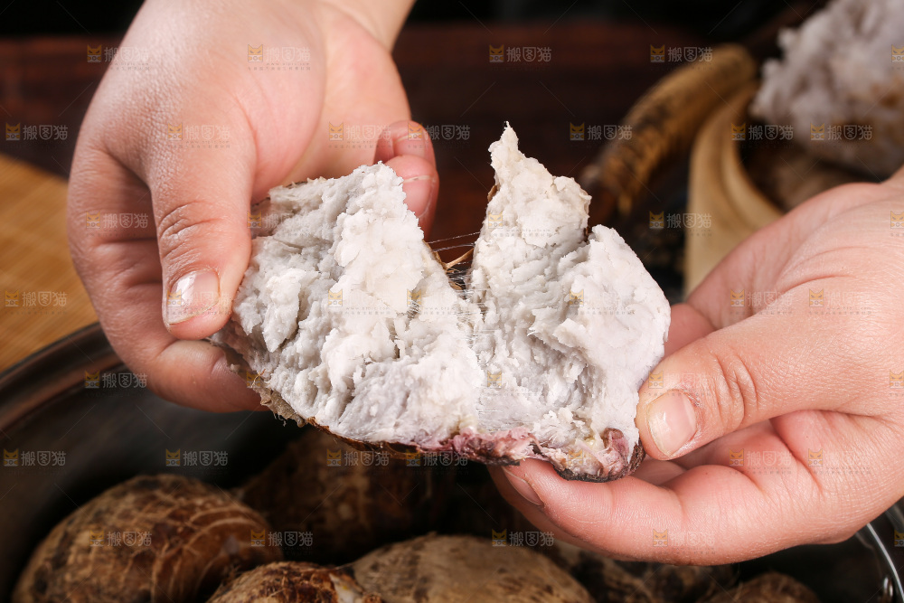 手里拿着红芽小芋头