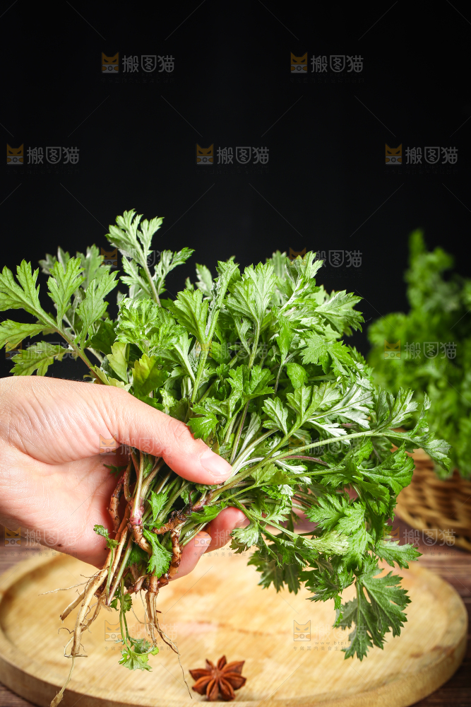 手里拿着艾草叶