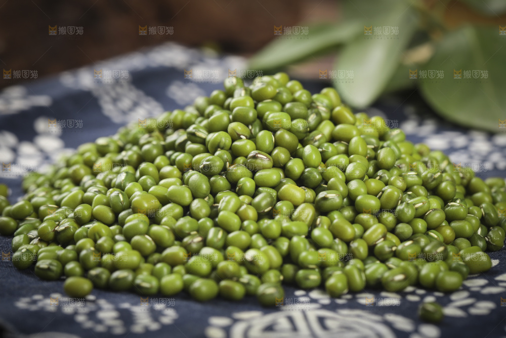 花布底上放着一堆绿小豆