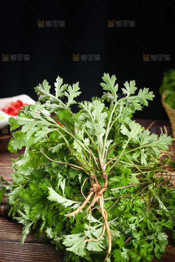 一堆新鲜艾草