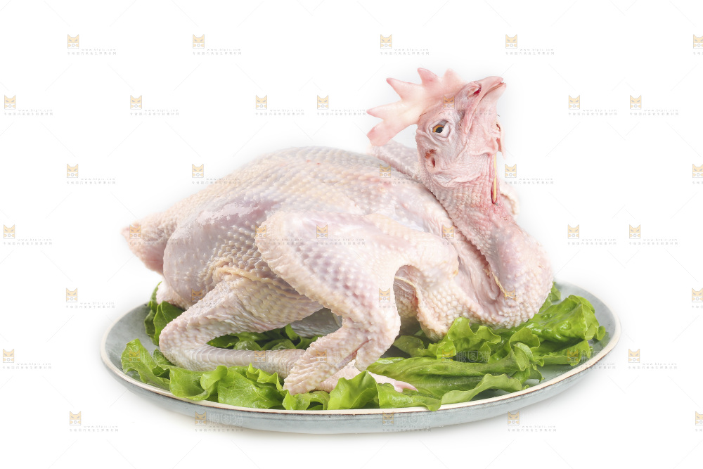 白底上的生鲜鸡肉