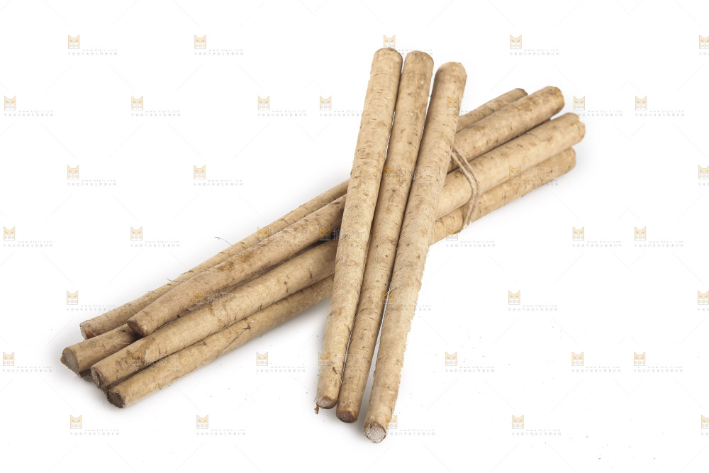 白底上的牛蒡根