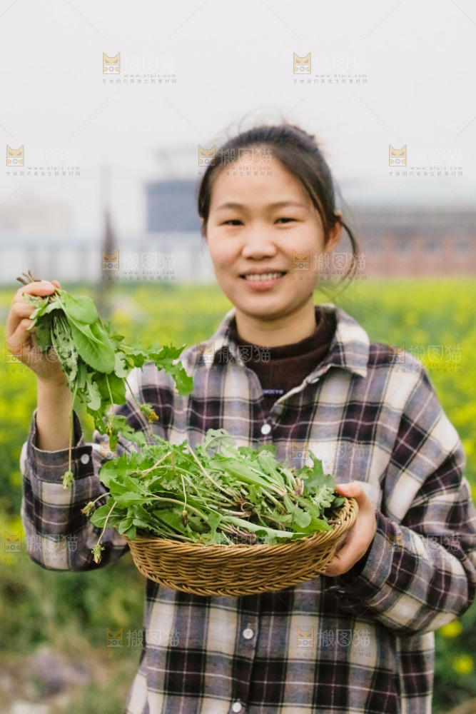 女人手里端着一篮蒲公英