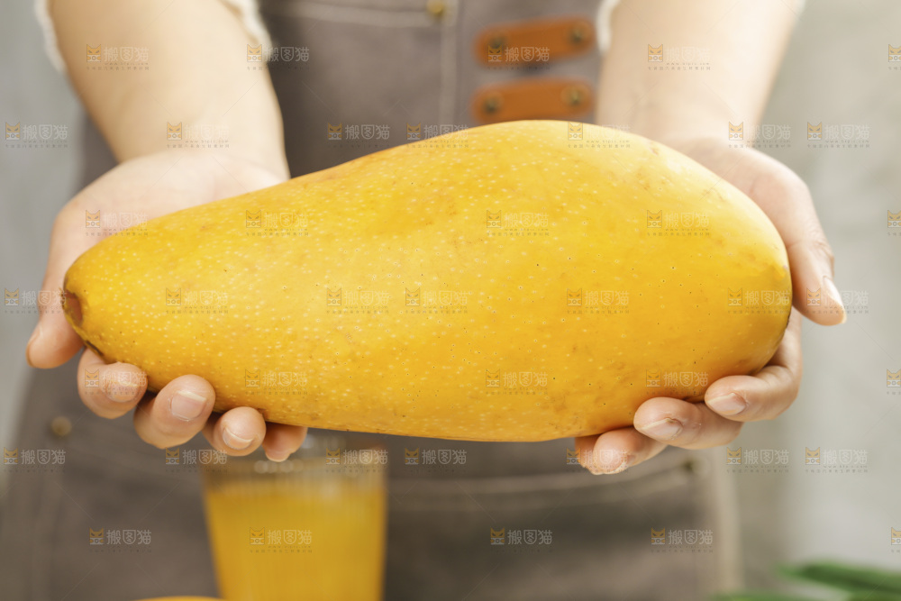 手里拿着大金煌芒
