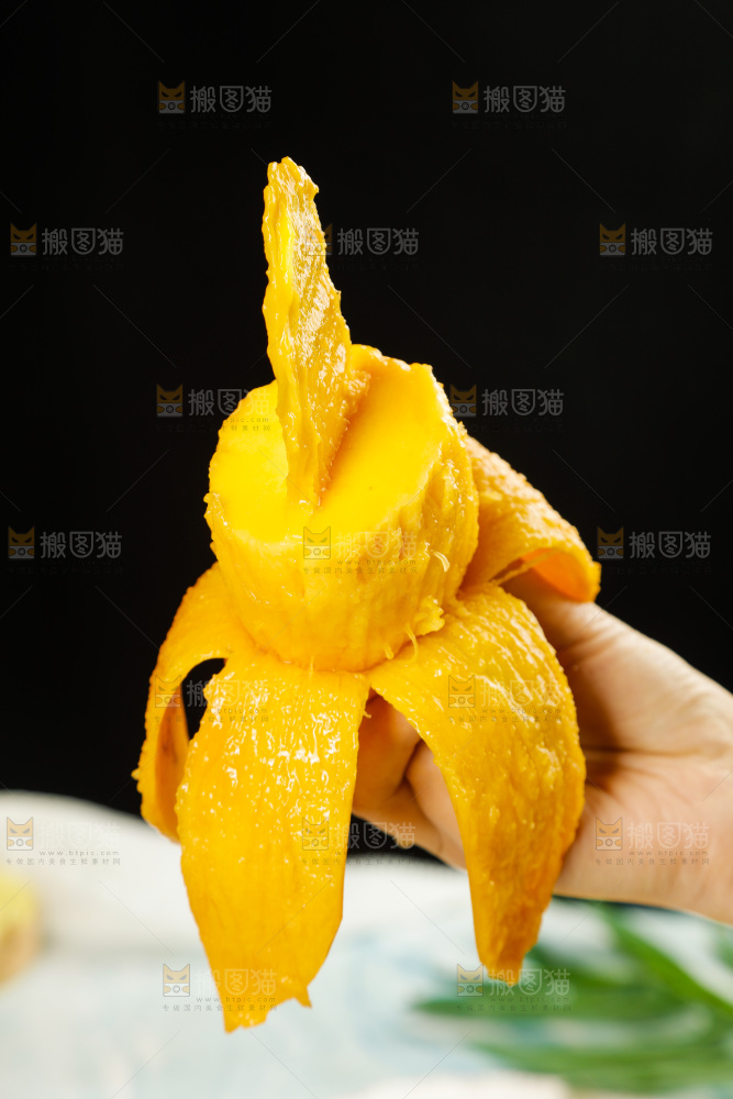 手里拿着金煌水仙芒