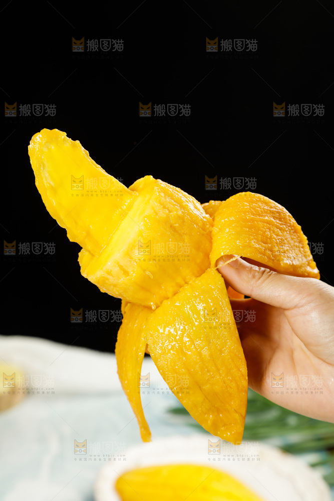 手里拿着金煌水仙芒