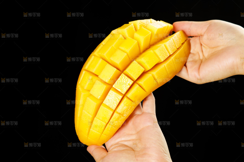 手里拿着金煌水仙芒
