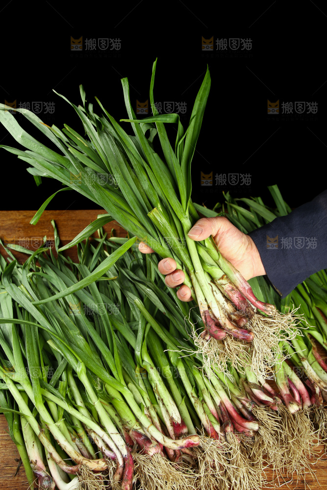 手里拿着蒜苗
