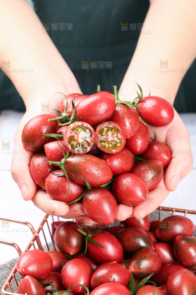 手里捧着珠珠小番茄