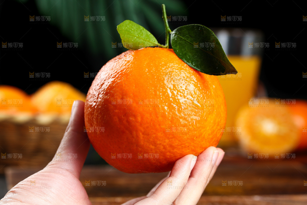 手里拿着青见