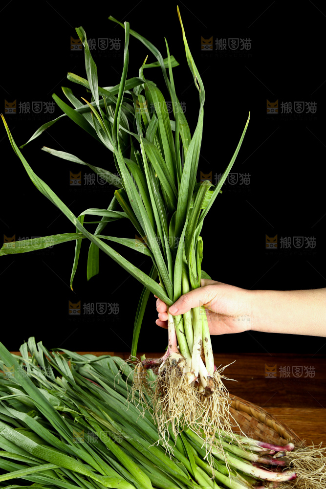 手里拿着蒜苗