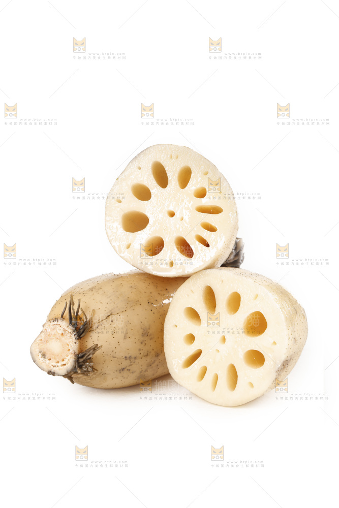 白底上的洪湖莲藕