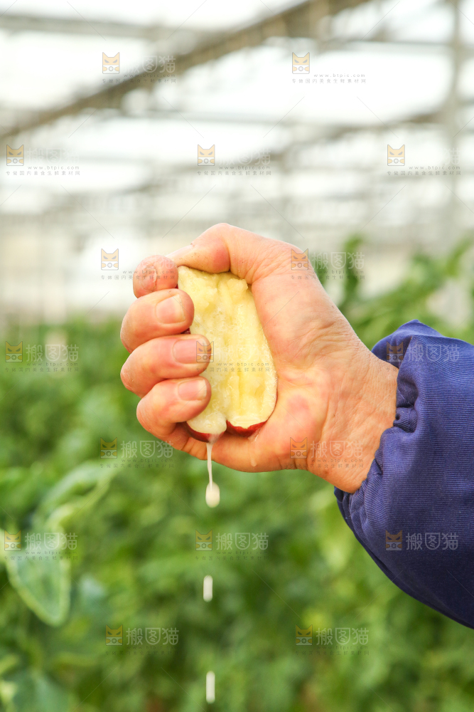 手里捏着花牛苹果