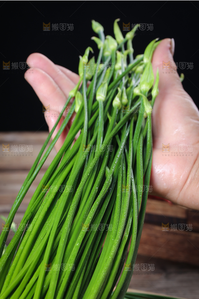 手拿着韭菜苔