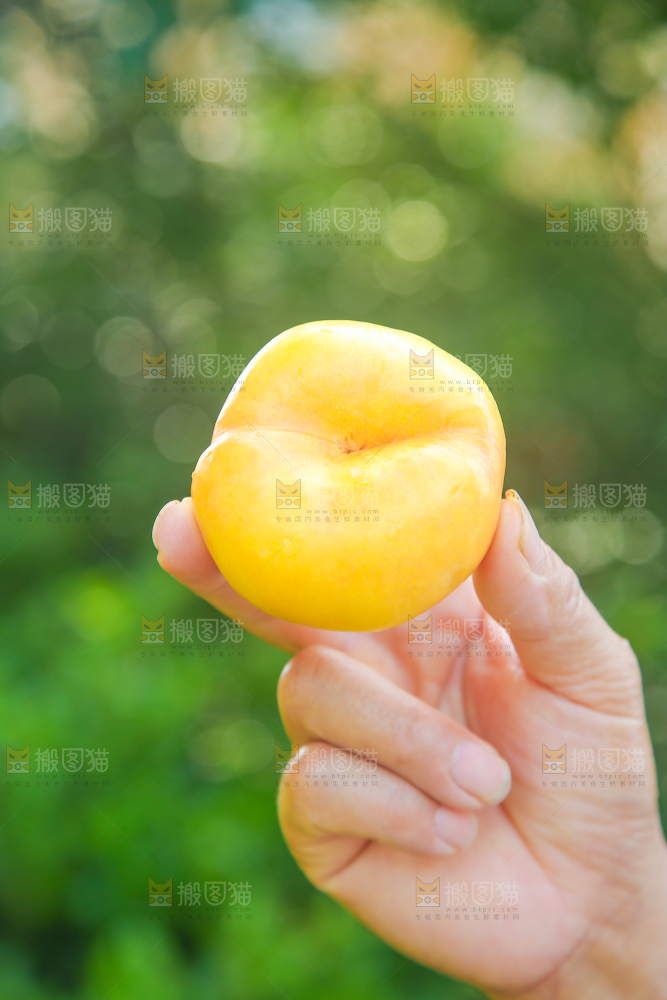手拿着的黄油蟠桃