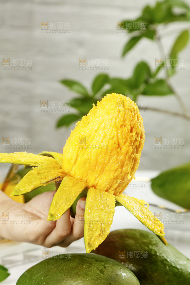 手上剥开的攀枝花凯特芒