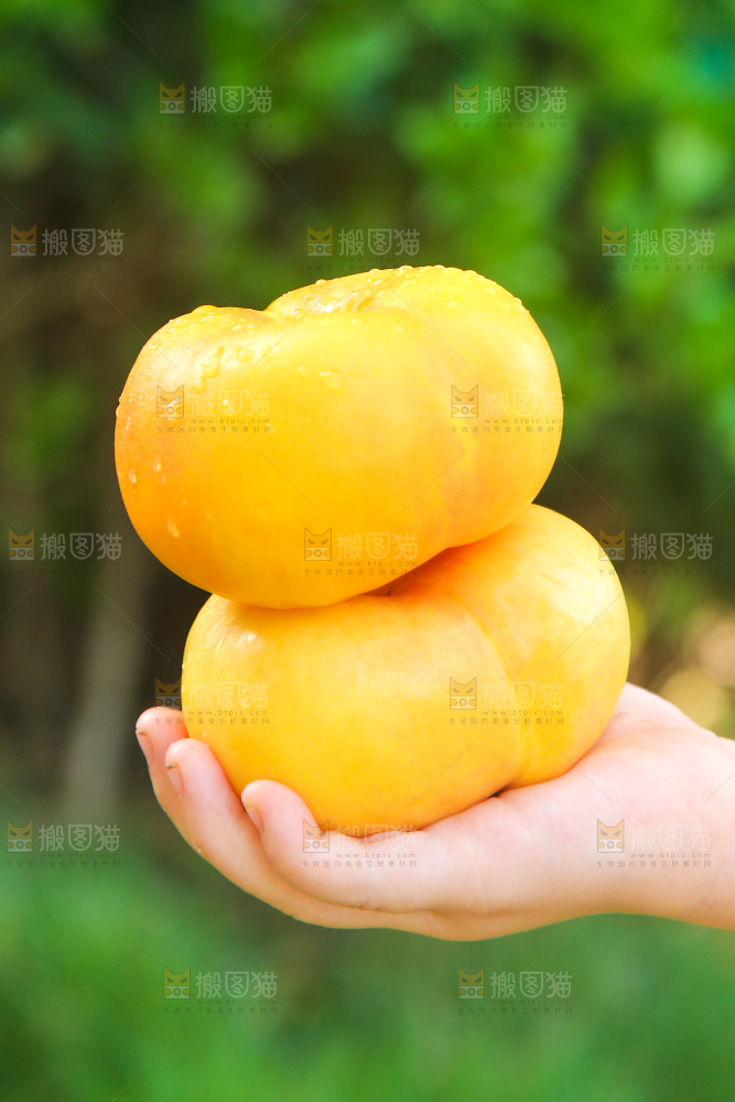 手拿着的黄金蟠桃