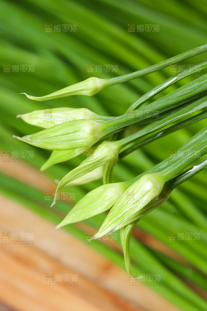 新鲜的韭菜苔