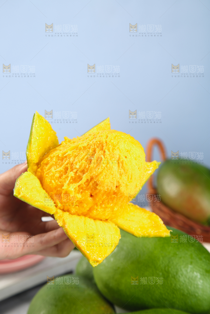 手上拿着的攀枝花凯特芒