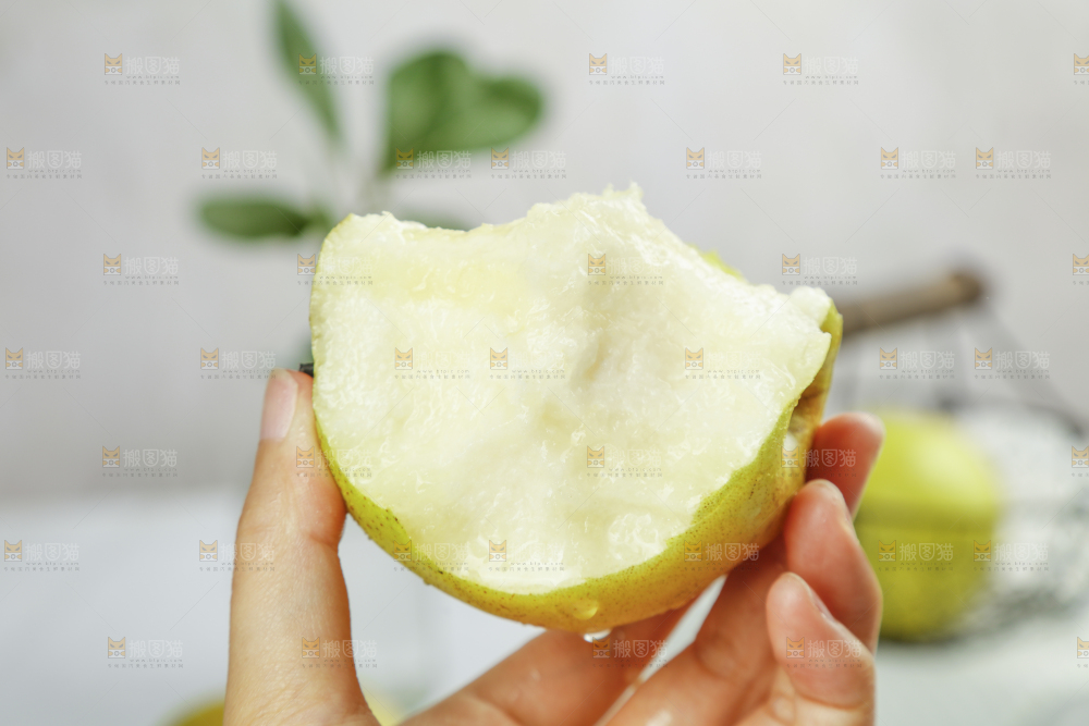 手上拿着的玉露香梨