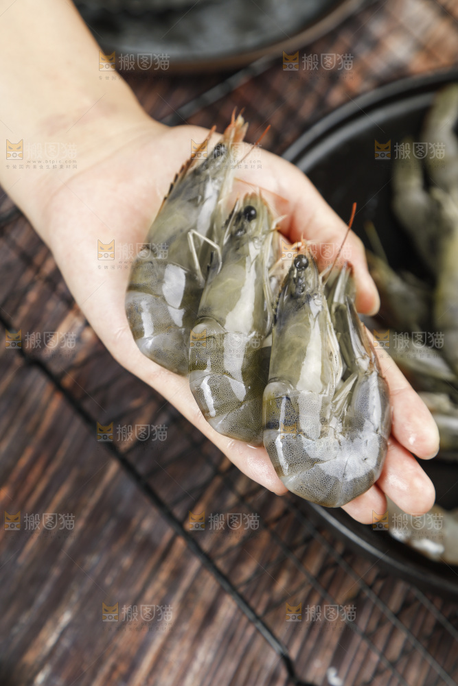 放在手上的对虾