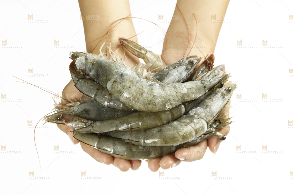 手上捧着一堆对虾