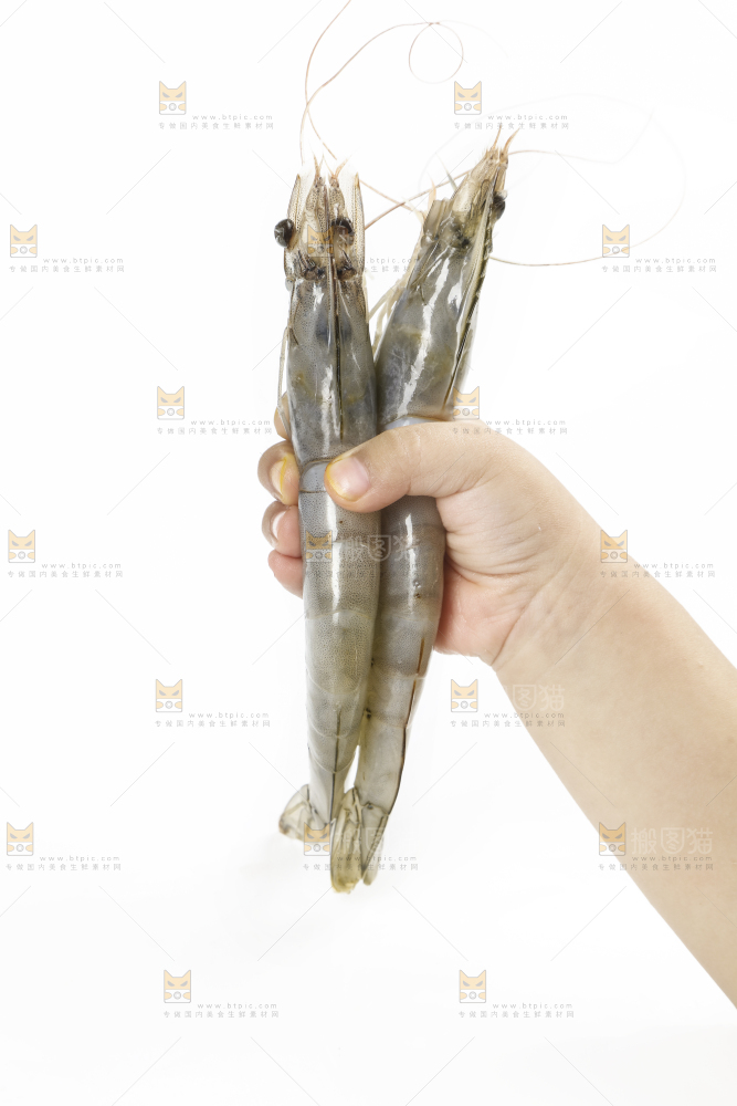 大青虾