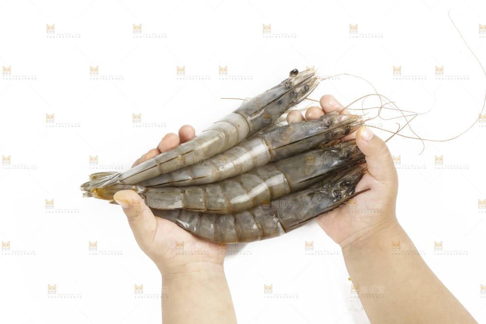 大青虾