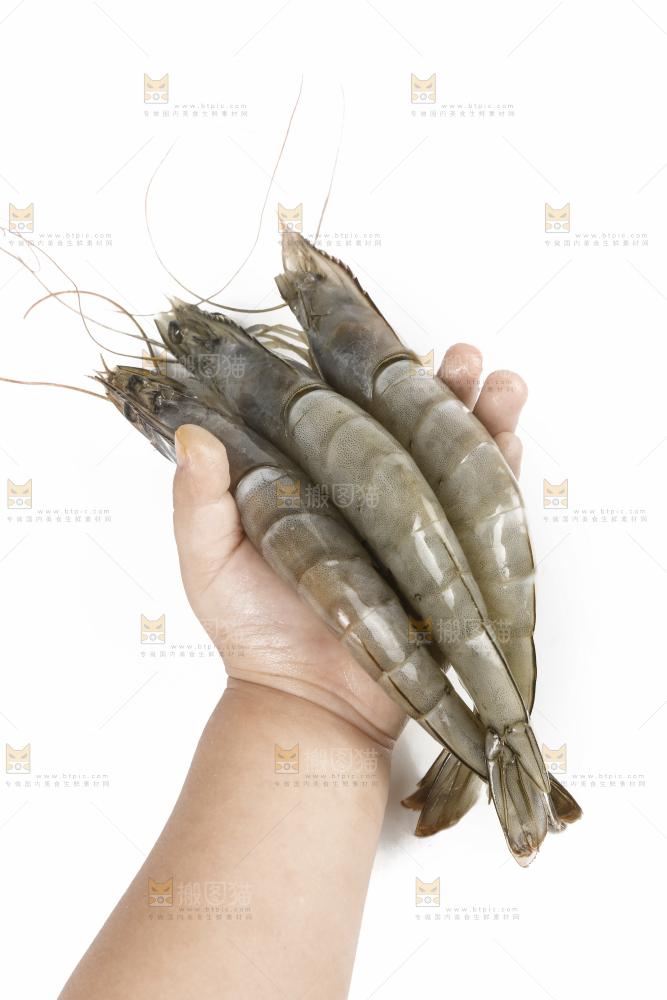手上拿着新鲜对虾