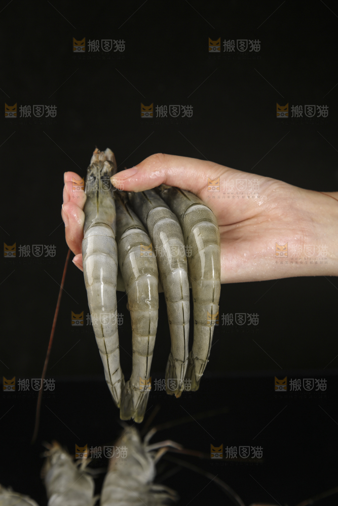 手上拿着南美对虾