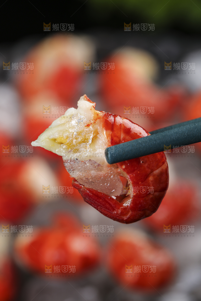 筷子上夹着龙虾尾