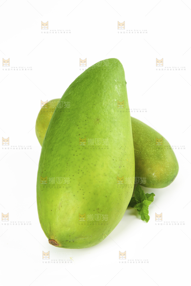 白底上放着水仙芒