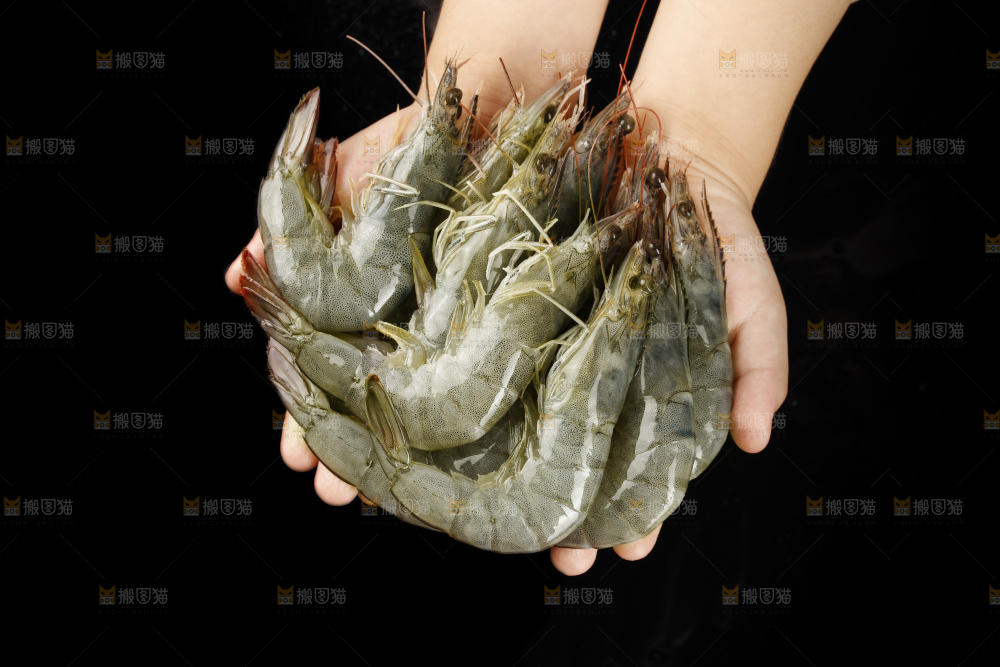 大青虾