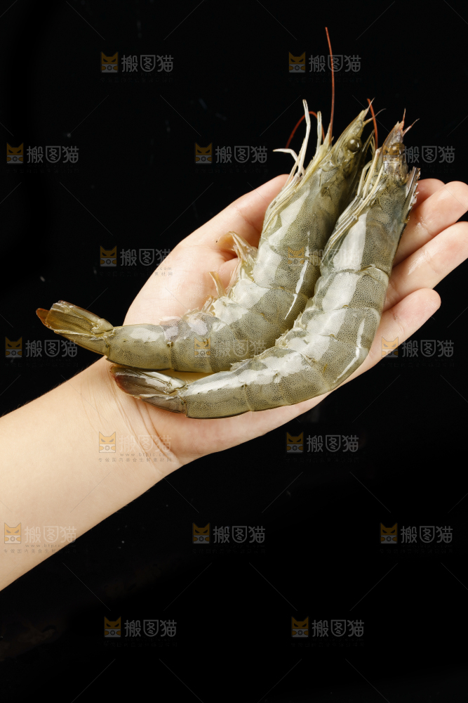 手上捧着大虾