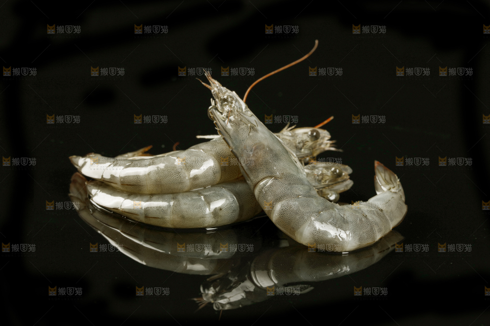 黑底上放着南美虾
