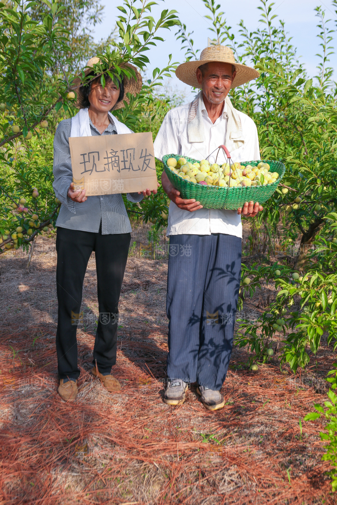 农民手上抱着一篮蜂糖李