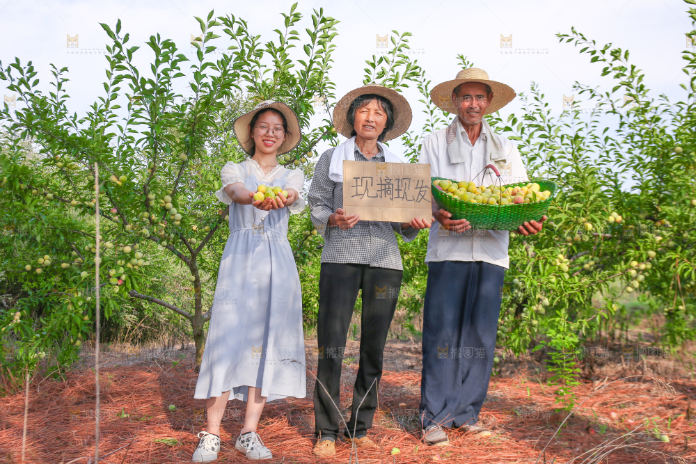 农民手上抱着一篮蜂糖李