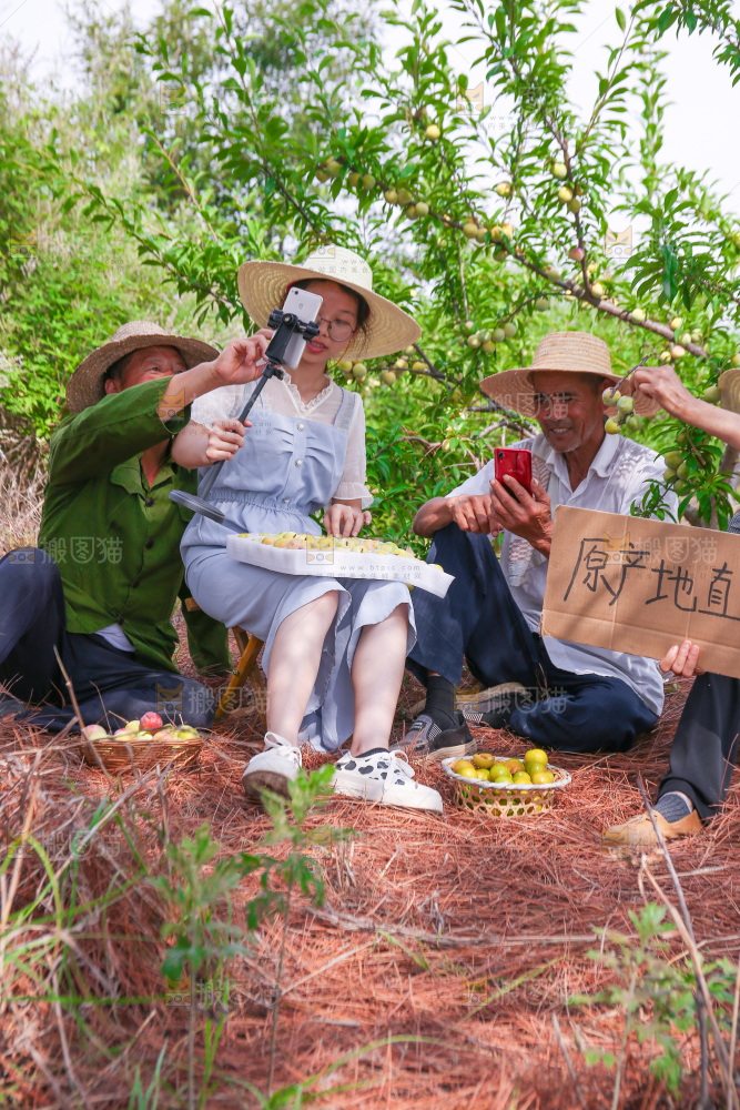 农民正在蜂糖李果园自拍