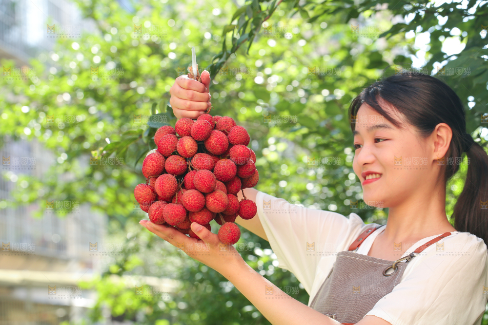 女人手上拿着无核荔枝