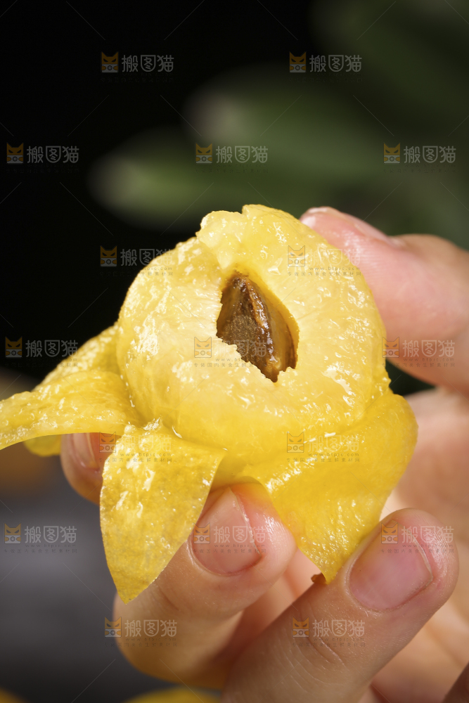 手上拿着的小白杏