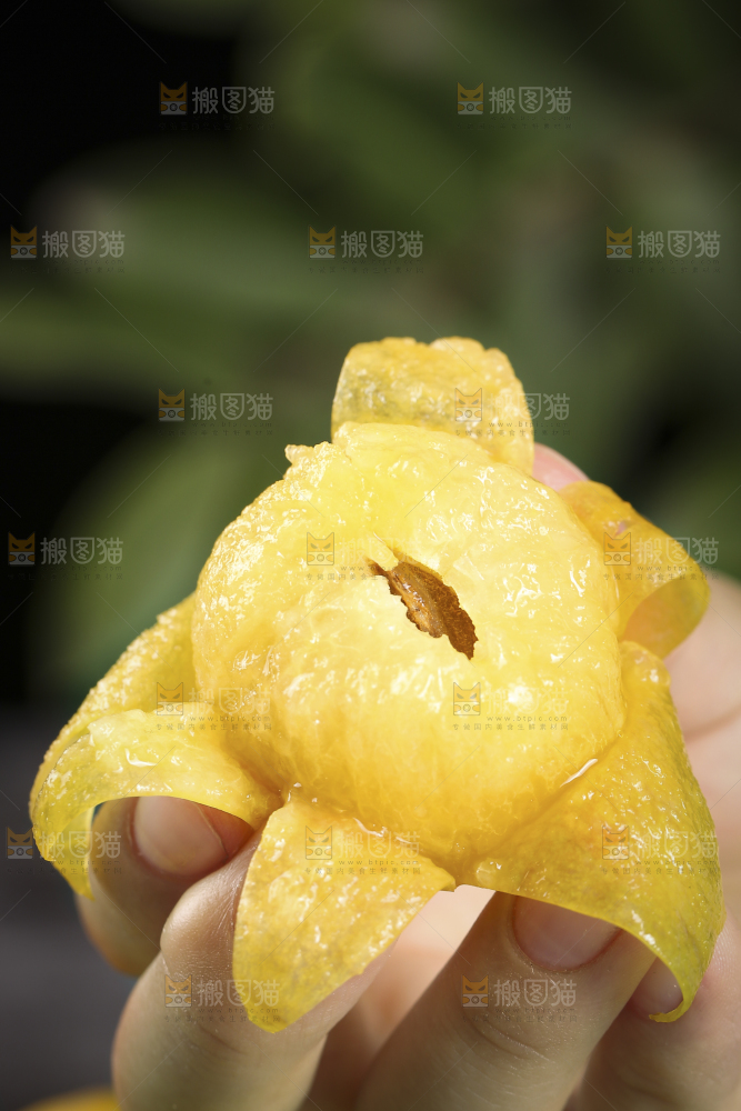 手上拿着的小白杏