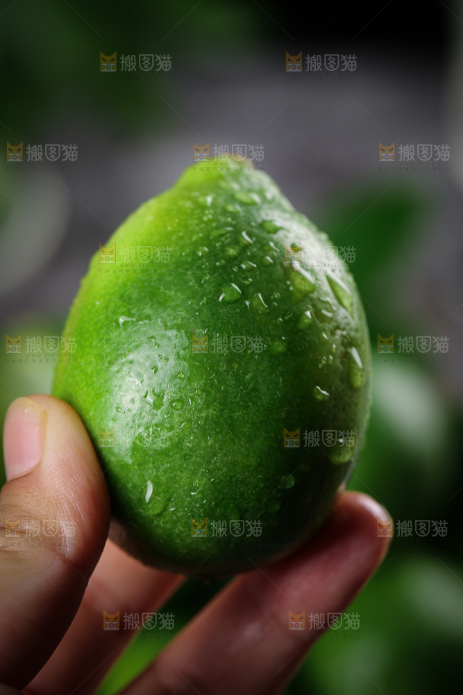 手上拿着香水柠檬