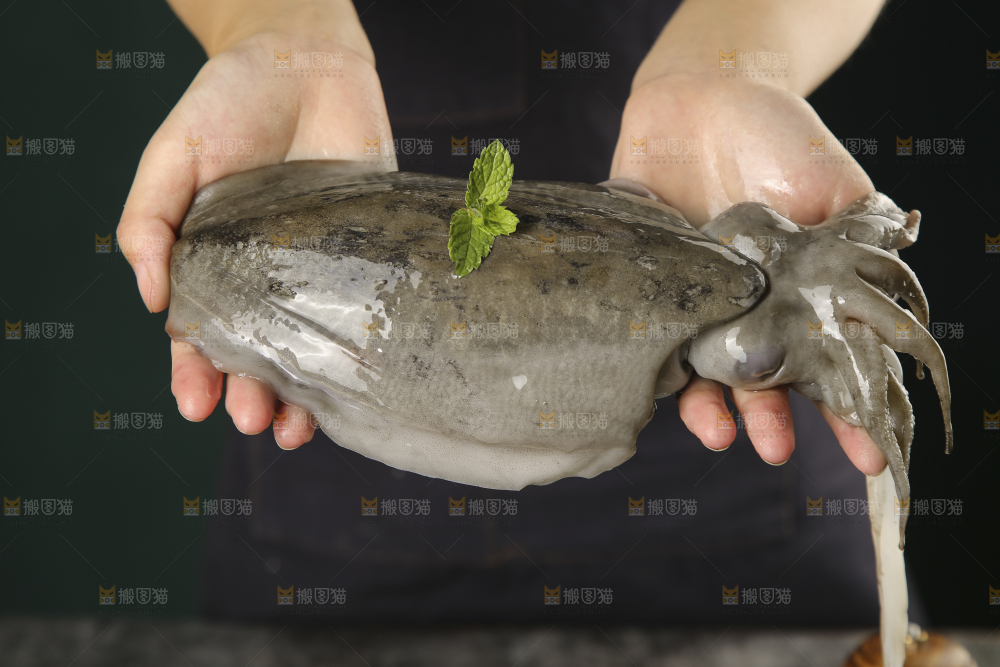 手上拿着墨鱼
