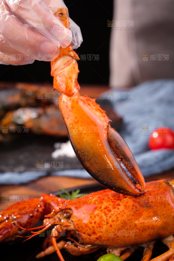 手上拿着澳洲龙虾