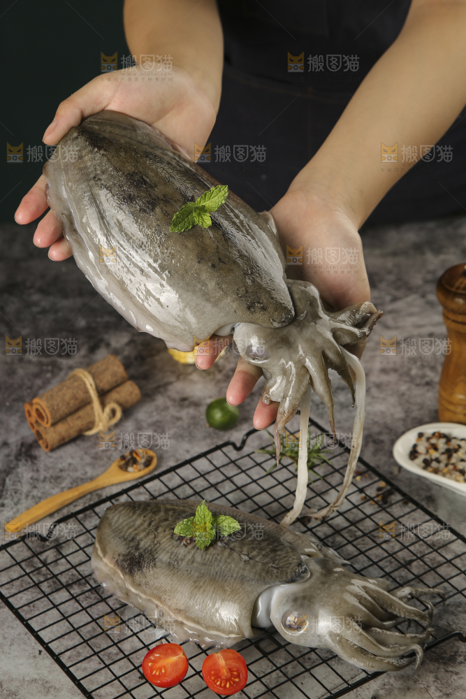 手上拿着墨鱼